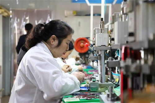 共創市級高新區 金特電子以創新提升效益，以擔當回饋社會